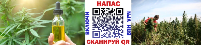 магазин продажи наркотиков  Сальск  Еда ТГК марихуана 