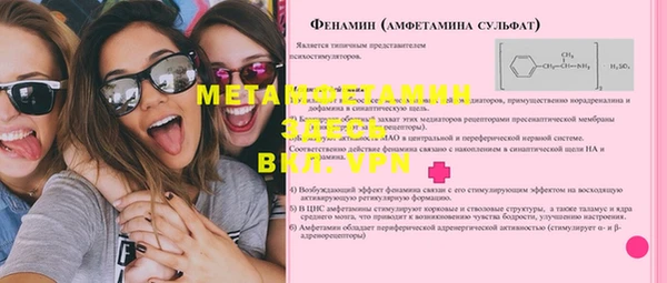 хмурый Аркадак