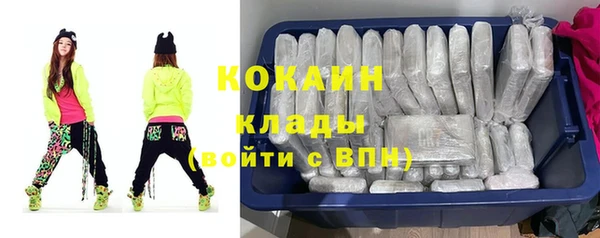 кокс Арсеньев