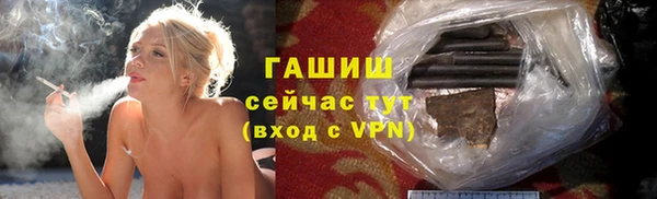 хмурый Аркадак