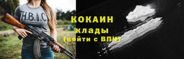 кокс Арсеньев