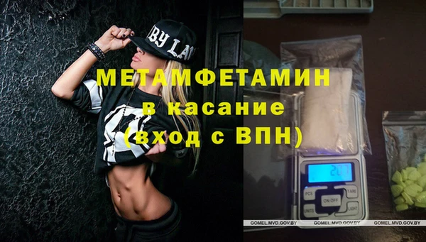хмурый Аркадак