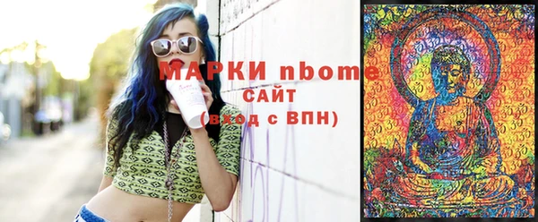 хмурый Аркадак