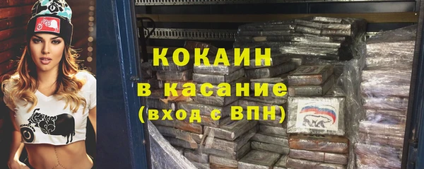 хмурый Аркадак