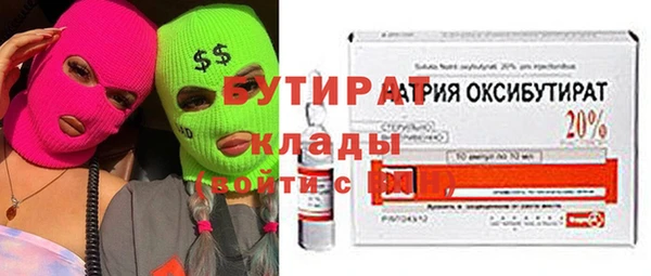 хмурый Аркадак