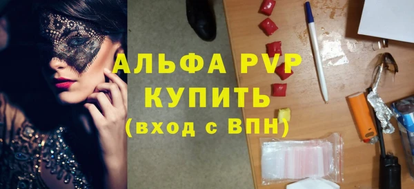 хмурый Аркадак